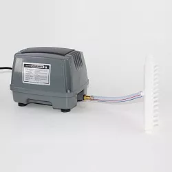 Компрессор Hailea 60