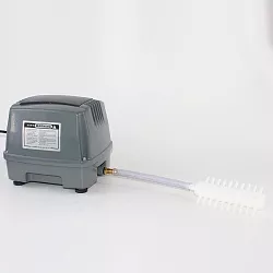 Компрессор Hailea 80